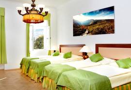 Wenceslas Square Hotel