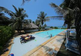 Dolphin Beach Resort