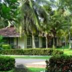 Раннего бронирования туры в Негомбо Шри Ланку для 2 взрослых 2026 - Tamarind Tree Hotel