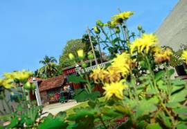 Hotel Mirissa Regent