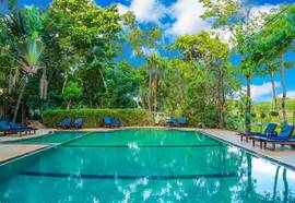 Pelwehera Village Resort, Dambulla