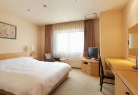 Hotel Agora Osaka Moriguchi