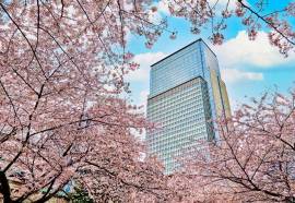 Mandarin Oriental, Tokyo
