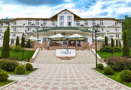 КАПРИЗ (пос.Бактуу-Долоноту)