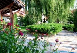 Complex Piry and Alexander SPA