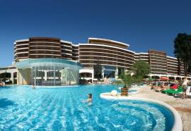 Flamingo Grand