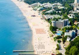 Елица