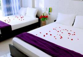 OYO 828 Hoa Giay Hotel