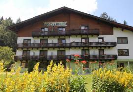 Pension Hubertushof beim Romerbad