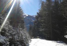 Wohlfuhl- Genusshotel Felsenhof