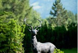 Villa Orania Bad Gastein