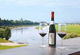 Mercure Hotel Dresden Elbpromenade