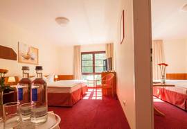 Kim Hotel Im Park