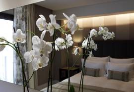 The Y Hotel