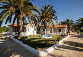 Paradise Village