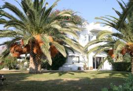 Gorgona Hotel