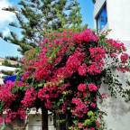 Премиальные горящие туры в Грецию в лучшие отели для 2 взрослых на 11 дней от Russian Express 2026 - Paralos Kosta Mare