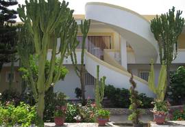 Afentoulis Studios