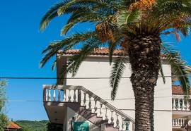 Zante Nest Studios & Apartments, Alikanas