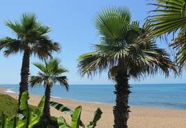 Ionion Beach Apartment Hotel