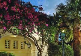 Out Of The Blue Capsis Elite Resort