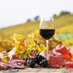 Туры в Грецию в лучшие отели для 2 взрослых от Интурист на праздники 2026 - Hippocampus Hotel