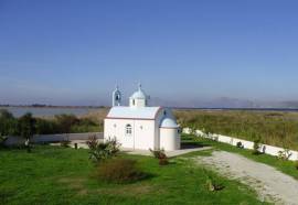 Tigaki'S Star