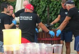 Telesilla