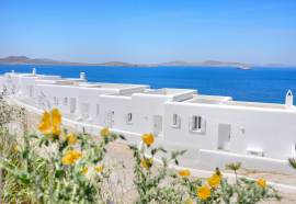Amazon Mykonos Resort & Spa
