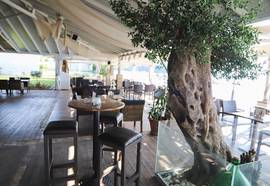 Scheria Hotel