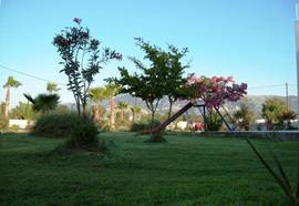 Anthia Apartments, Marmari