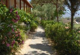 Zorbas Hotel