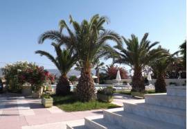 Leonidas Hotel & Studios