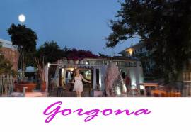 Gorgona Studios