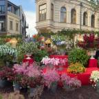 Туры в Грузию для 2 взрослых от Travelata 2026 - Sunny Tiflis