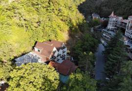 Borjomi UnderWood Hotel