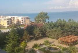 Dreamland Oasis in Chakvi