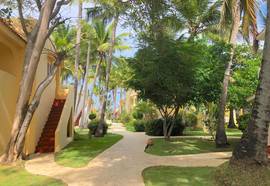 Beach Bungalows Los Corales Club & SPA