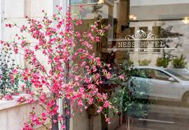 Ness Hotel