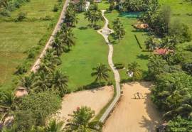 Royal Orchid Beach Resort & Spa