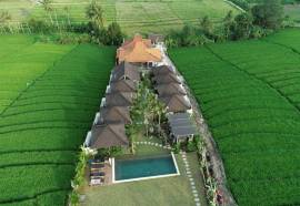 Villa Alisha Pererenan Canggu