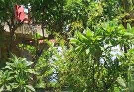 Amed Sari Beach Guesthouse