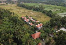 Asri Sari Villa Ubud
