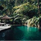 Туры в Убуд, Индонезию, для 2 взрослых, на 15 дней, июнь 2024 - COMO Shambhala Estate