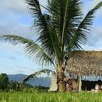 Горящие туры в Бали Индонезию для 2 взрослых от Travelata на март 2026 - Sanak Retreat Bali, Munduk /Buleleng