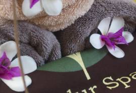 Batu Karang Lembongan Resort and Day Spa