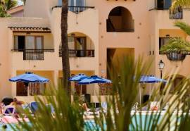 Globales Bouganvilla