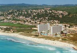 Sol Milanos Pinguinos