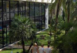 Protur Palmeras Playa Hotel