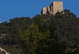 Petit Hotel Hostatgeria Sant Salvador